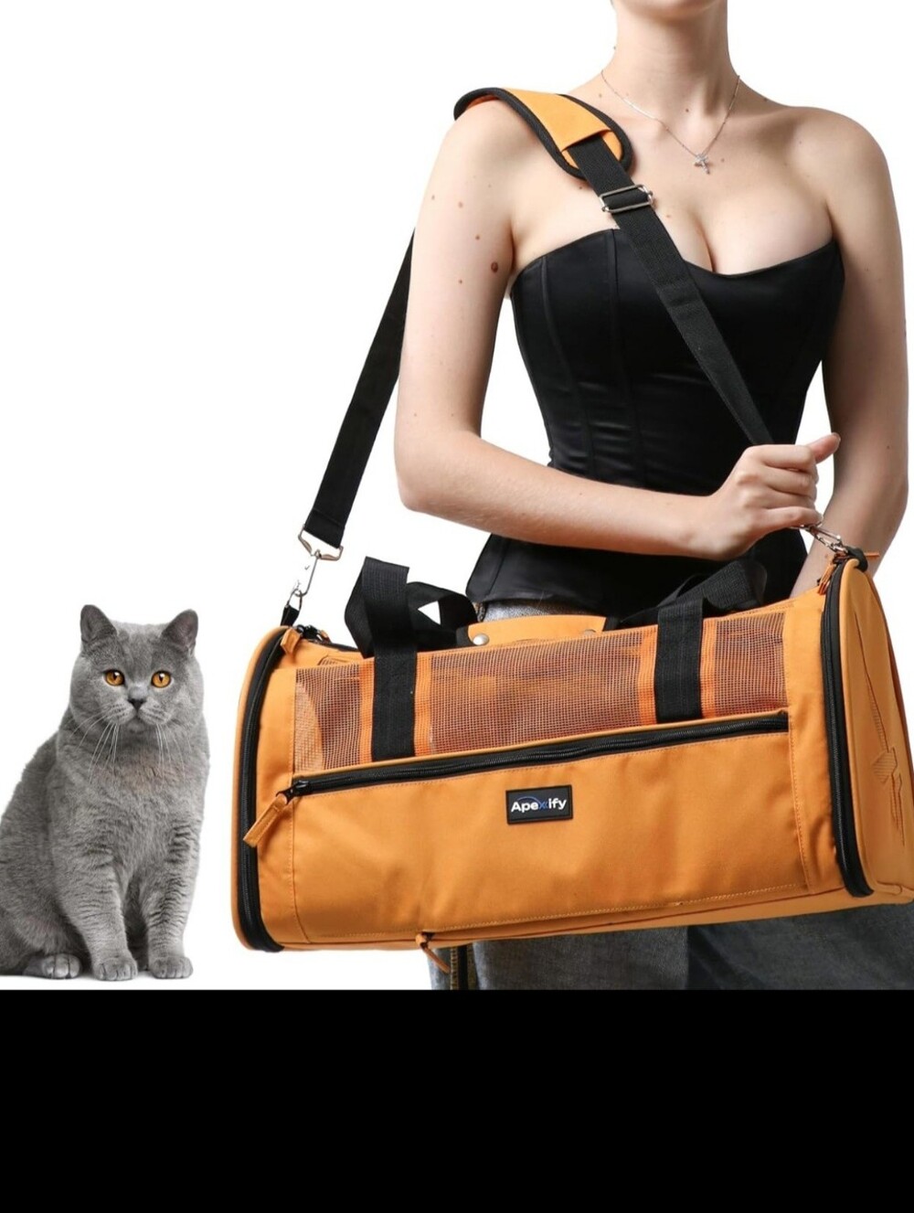 Pet Carrier Bag for Cats - Portable Shoulder & Handheld Travel Carrier